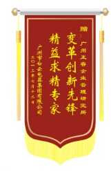 白云電氣集團(tuán)贈(zèng)送正睿咨詢變革創(chuàng)新先鋒，精益求精專家錦旗