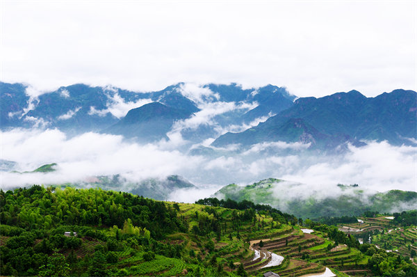 管理咨詢?nèi)绾沃刂萜髽I(yè)戰(zhàn)略規(guī)劃落地？
