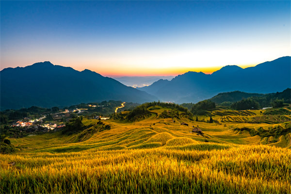定制化管理咨詢方案：麗水企業(yè)轉(zhuǎn)型升級(jí)的鑰匙？