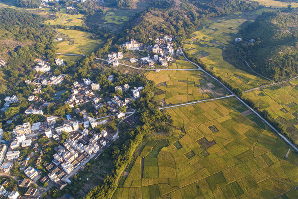 肇慶預(yù)算管理咨詢公司如何為企業(yè)構(gòu)建精細(xì)化的預(yù)算體系？