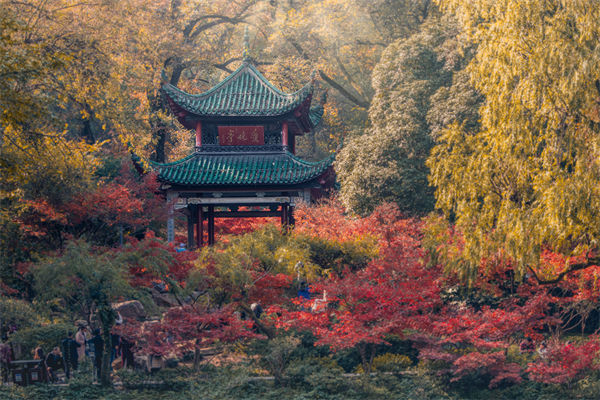 長沙薪酬咨詢公司如何設(shè)計(jì)合理的薪酬結(jié)構(gòu)與體系？