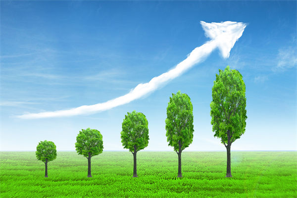 植樹就是植未來，對企業(yè)的戰(zhàn)略規(guī)劃有哪些啟示？