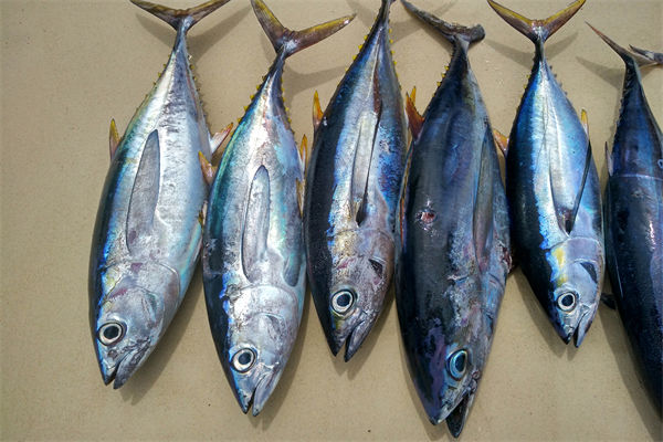 商務(wù)部：將幫助外貿(mào)企業(yè)擴(kuò)寬內(nèi)銷渠道，政策解讀！