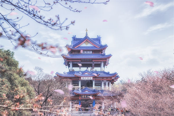 供應(yīng)鏈成本居高不下，無(wú)錫供應(yīng)鏈咨詢公司如何精準(zhǔn)砍出利潤(rùn)空間？