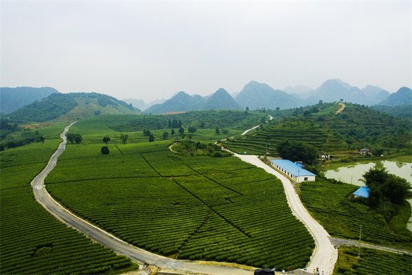 清遠(yuǎn)營(yíng)銷咨詢公司深挖需求，如何為品牌打造直擊消費(fèi)痛點(diǎn)的賣點(diǎn)？