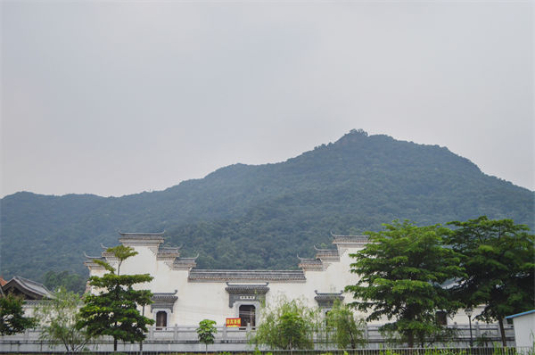 子公司各自為戰(zhàn)內(nèi)耗大，佛山集團(tuán)管控咨詢公司有何整合之道？