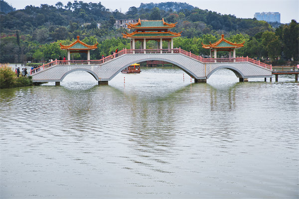 供應(yīng)鏈斷鏈頻發(fā)、交付延遲嚴重，肇慶供應(yīng)鏈咨詢公司能解嗎？