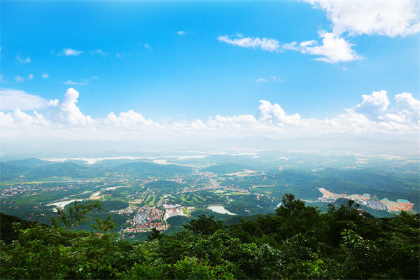 企業(yè)戰(zhàn)略飄在半空落地難，惠州戰(zhàn)略咨詢公司能錨定方向嗎？