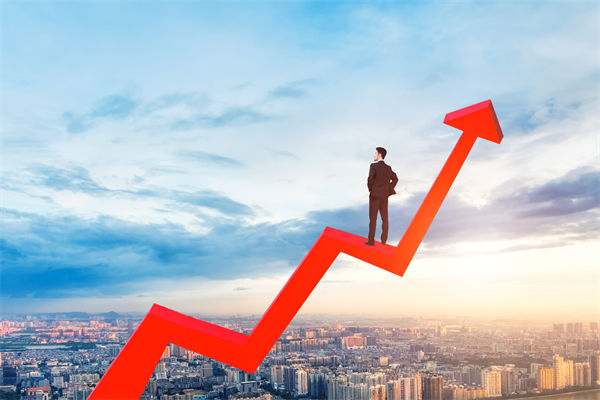 績效管理咨詢公司，能幫企業(yè)建立以結(jié)果為導向的體系嗎？