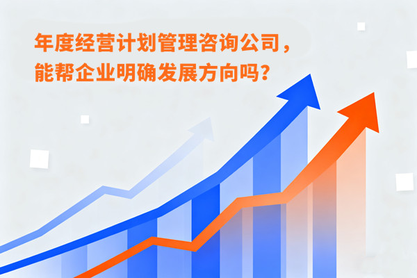 年度經(jīng)營(yíng)計(jì)劃管理咨詢公司，能幫企業(yè)明確發(fā)展方向嗎？
