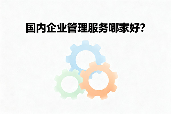 國內企業管理服務哪家好？