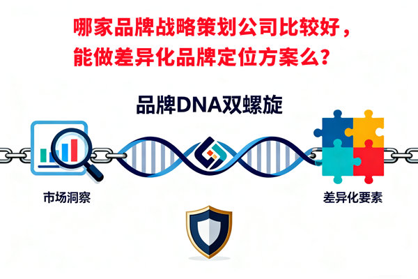 哪家品牌戰(zhàn)略策劃公司比較好，能做差異化品牌定位方案么？