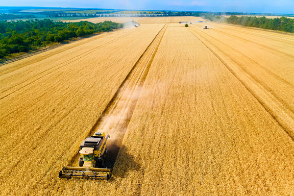 農業行業供應鏈管理咨詢公司推薦，能解農資采購成本高問題嗎？
